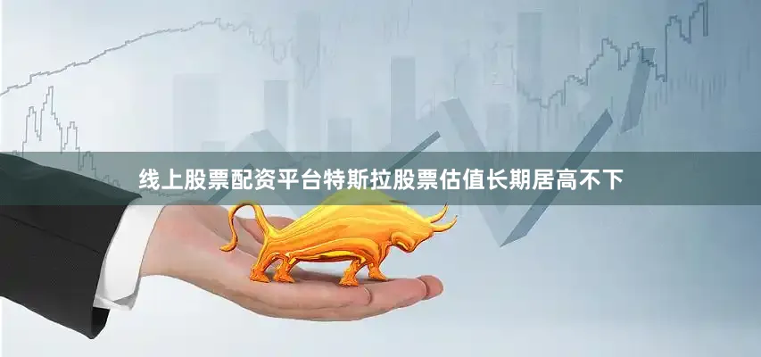 线上股票配资平台特斯拉股票估值长期居高不下