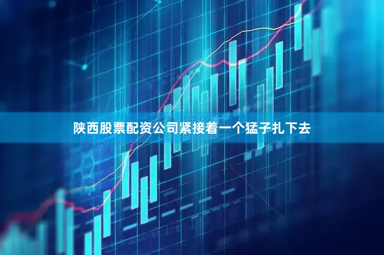 陕西股票配资公司紧接着一个猛子扎下去
