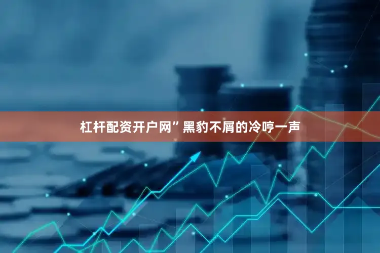杠杆配资开户网”黑豹不屑的冷哼一声
