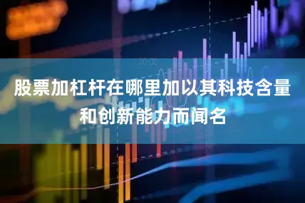 股票加杠杆在哪里加以其科技含量和创新能力而闻名